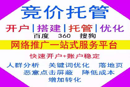 SEM营销案例：电商平台的流量密码